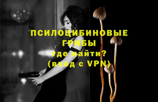 mdpv Ладушкин
