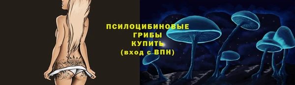 твердый Абаза