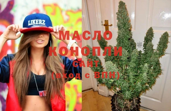 дмт Алексин