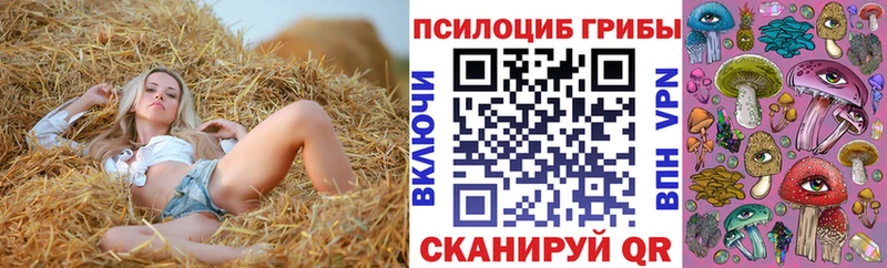 Псилоцибиновые грибы Cubensis  Ессентукская 